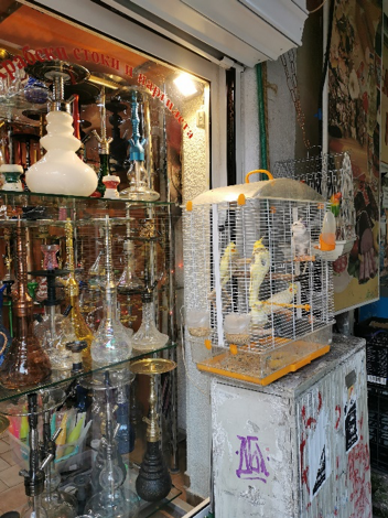 A store’s window display of water pipes and a bird cage